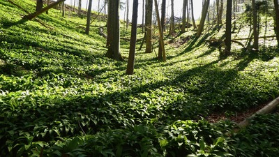 Tourenbericht