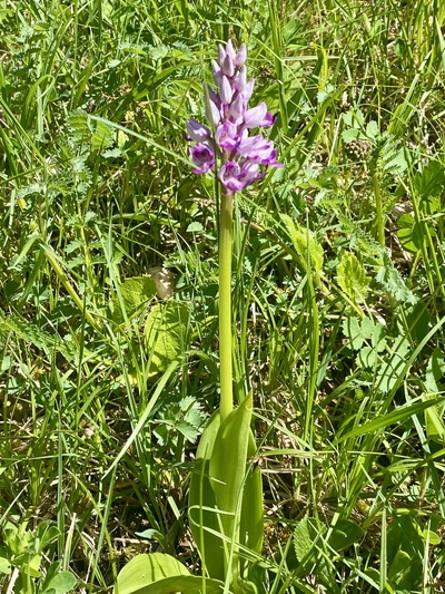 Tourenbericht
