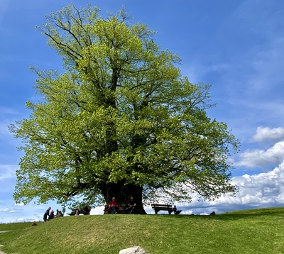 Tourenbericht